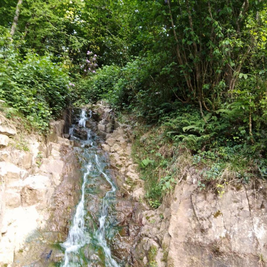 Zisto Apart Otel Rize Buitenkant foto